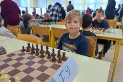 Področno posamezno tekmovanje v šahu